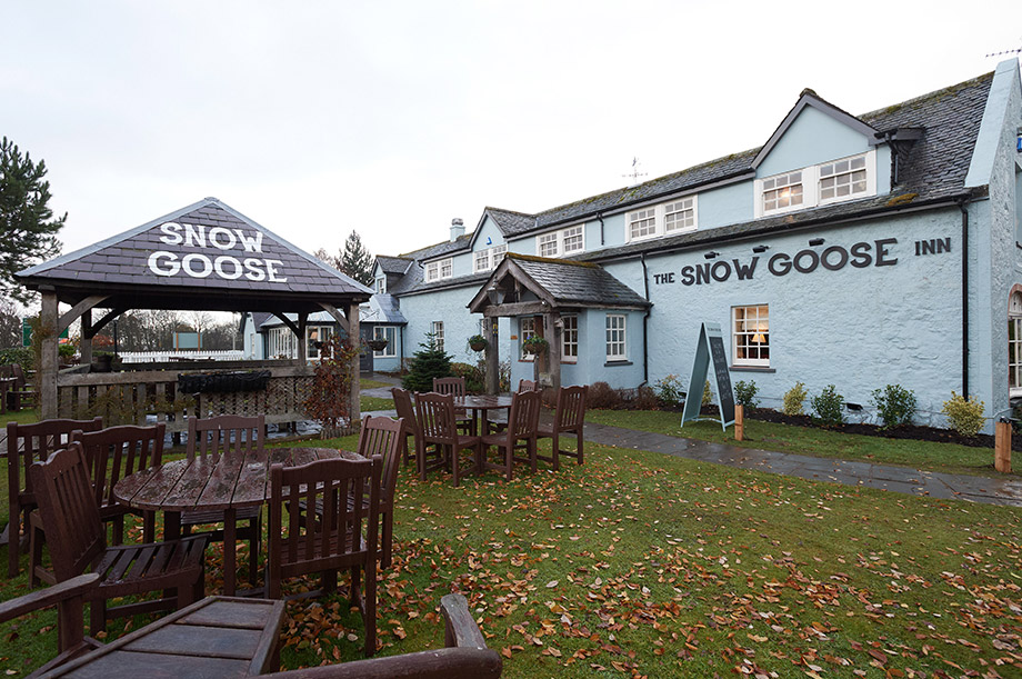 The Snow Goose in Inverness