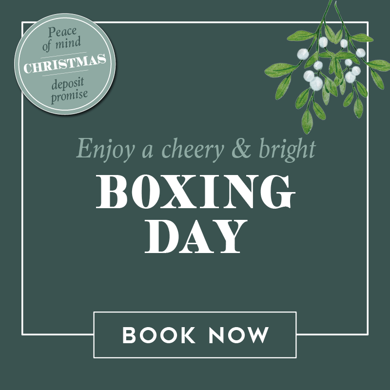 vv-boxingday-sb.jpg