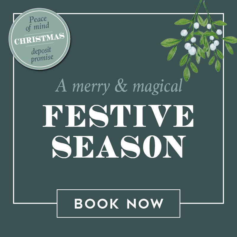vv-festive-sb.jpg