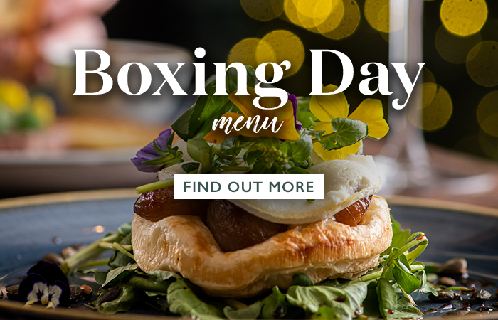 vv-2023-christmas-phase2-6e-christmasday-boxingday-sb.jpg