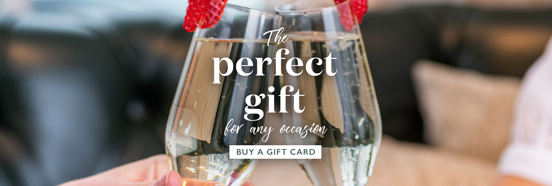 vin-2023-giftcards-banner.jpg