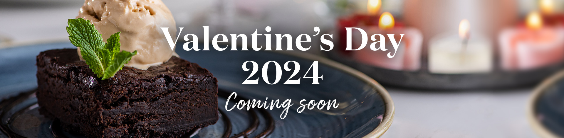 vv-2023-valentinesday-holding-banner.jpg
