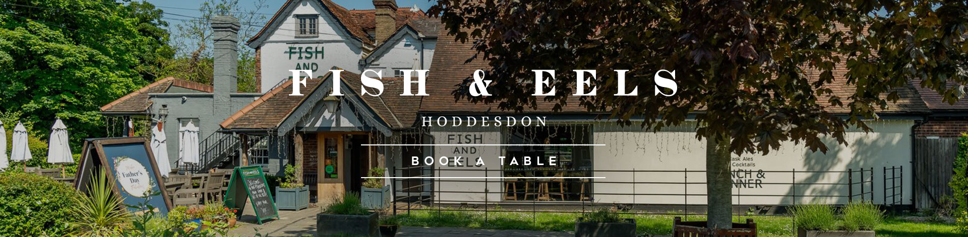 Book Now
