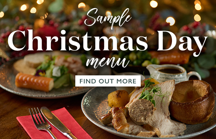 vin-2025-christmas-holding-04-christmas-page-christmasday-sb.jpg