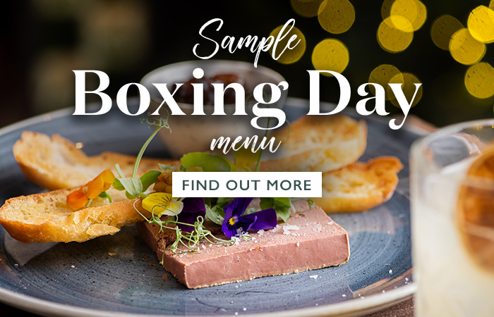 vin-2025-christmas-holding-05-christmas-page-boxingday-sb.jpg