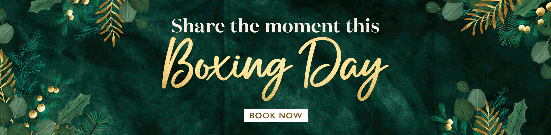 vin-2025-christmas-phase2-boxingday-banner.gif