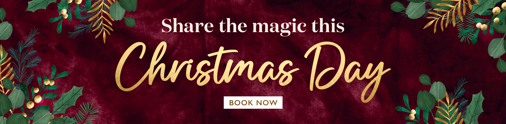 vin-2025-christmas-phase2-christmasday-banner.gif