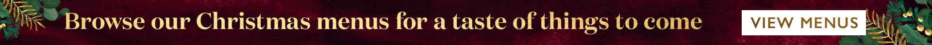 vin-2025-christmas-thin-banner.jpg