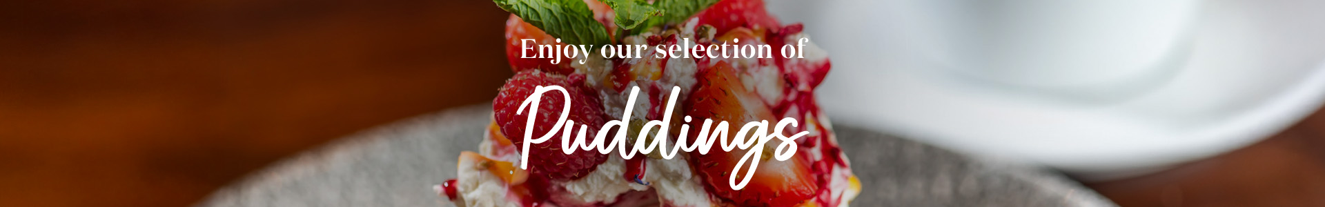 vintage-dn25-21-dynamicmenus-pudding-banner.jpg