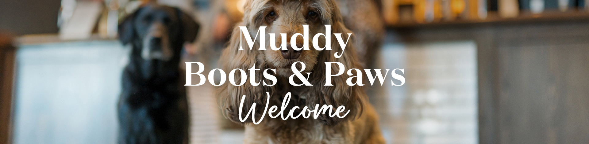 Dog friendly pub at The Captain's Wife