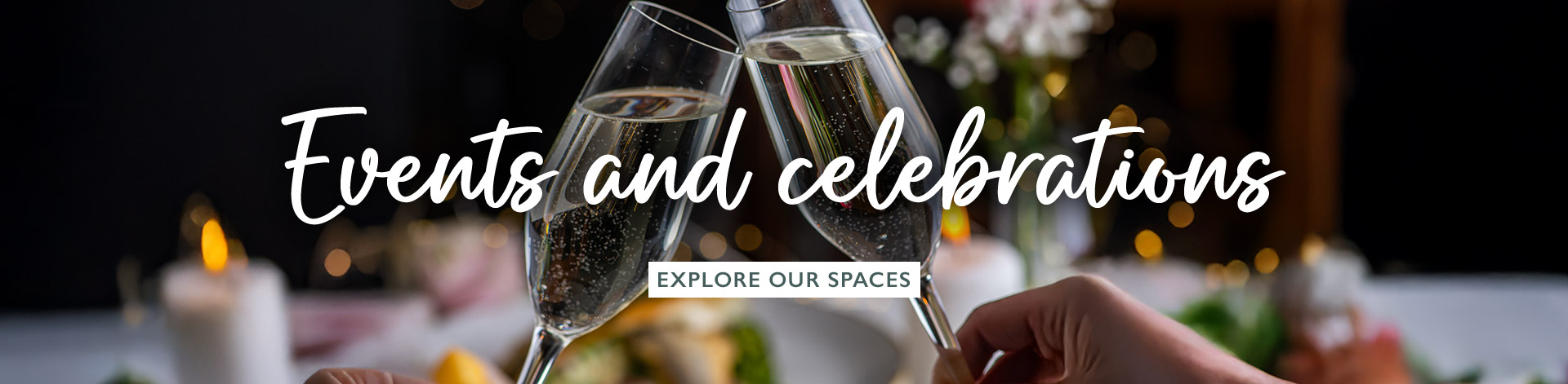 vin-2025-eventsandcelebration-banner.jpg