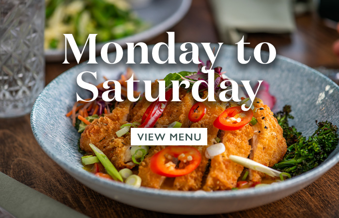 vin-ln25-12-menus-montosat-sb.jpg