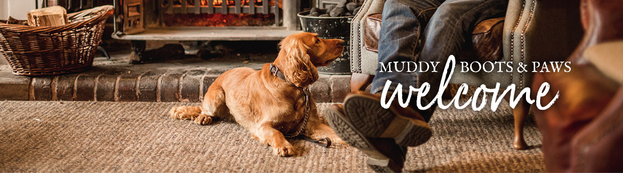 Dog friendly pubs outlet