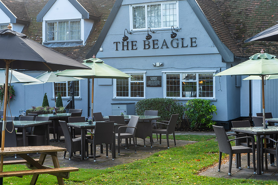 The Beagle in Ipswich