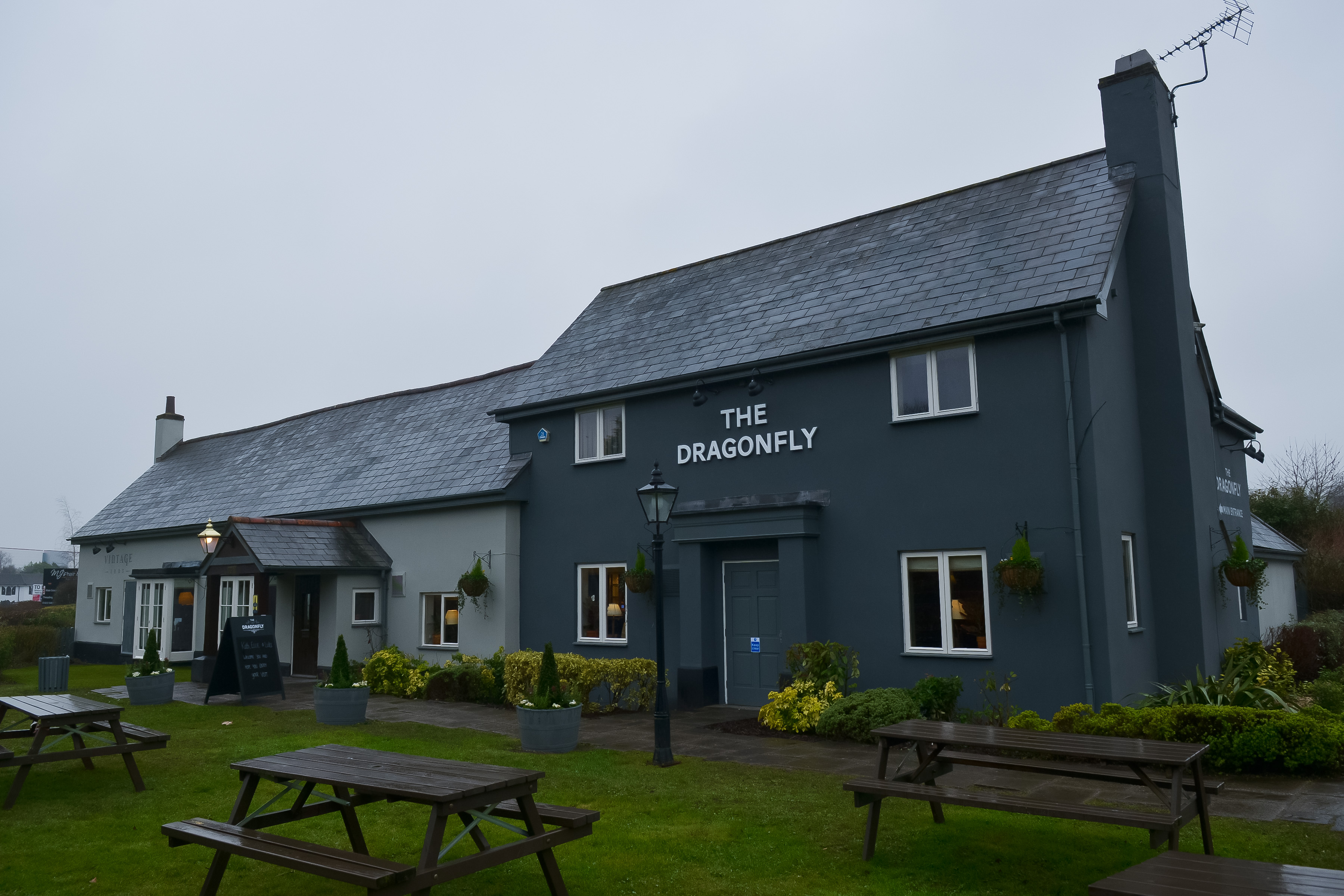 The Dragonfly in Newport