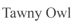brand logo